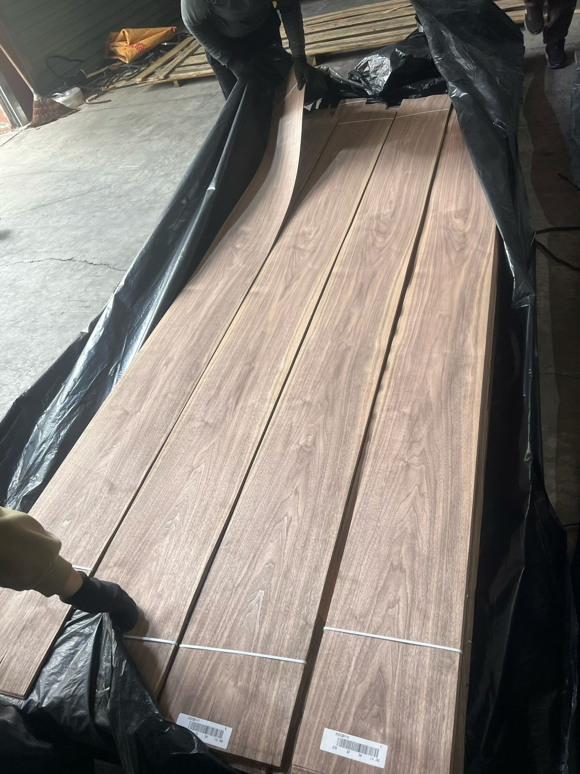 Noce Nero veneer — Mountain grain